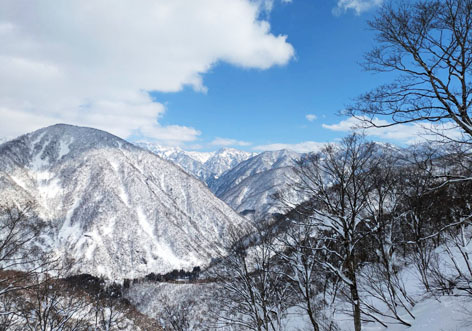 2026年 七十二候（2015年～） | 道塚自治会 ◇ 雨水 ◇ 南の地では