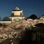 2022年　石川門と夜桜