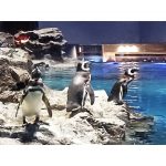 2024年　水族館