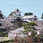 2024年　金沢城と桜