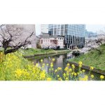 2025年　千鳥ヶ淵