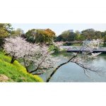 2025年　千鳥ヶ淵
