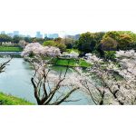 2025年　千鳥ヶ淵