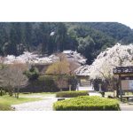 2025年　兵庫県　出石城