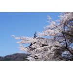 2025年　兵庫県　出石城