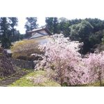 2025年　兵庫県　出石城