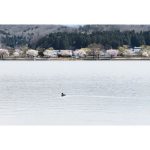 2025年　石川県　木場潟公園