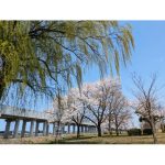 2025年　石川県　木場潟公園