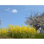 2025年　石川県　木場潟公園