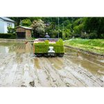 2025年　田植え