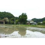 2025年　田植え